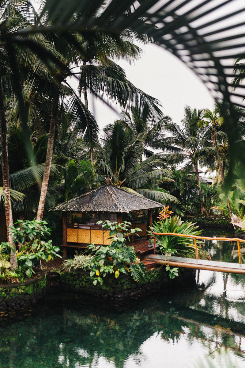 Austrians Dine Out Again After Virus Lockdown